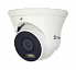 Купить Видеокамера IP TSi-Ee50FPN уличная купольная ColorView, 5Мп. встроенный микрофон, microSD до 256Гб