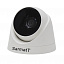 Купить Видеокамера IP Sarmatt SR-ID25F36IRX купольная